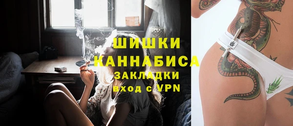 крисы Верхний Тагил