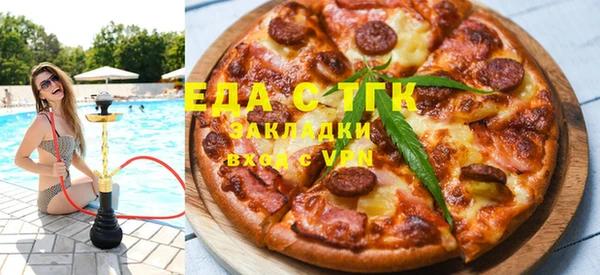 индика Богородицк