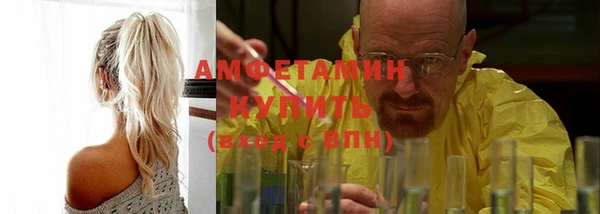 крисы Верхний Тагил