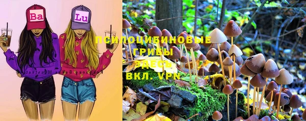 ПСИЛОЦИБИНОВЫЕ ГРИБЫ Бугульма