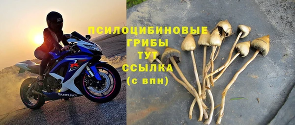 ПСИЛОЦИБИНОВЫЕ ГРИБЫ Бугульма